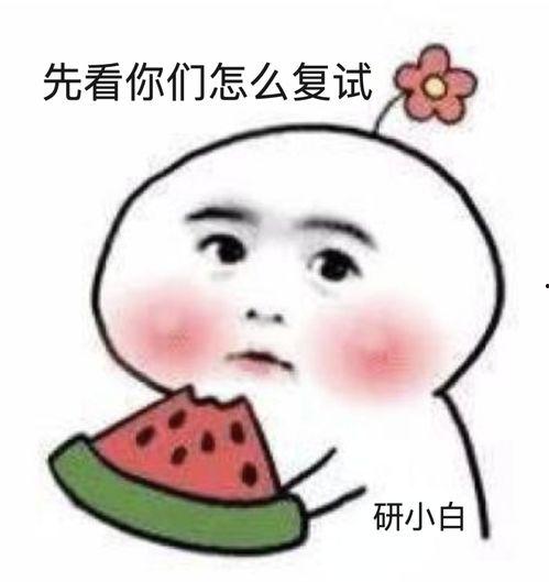 别人发吃瓜表情怎样回应,如何巧妙回应