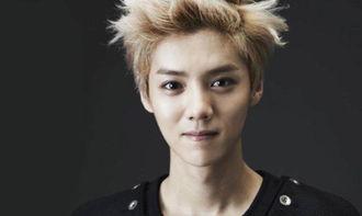 娱乐圈吃瓜猛料鹿晗是谁,鹿晗成吃瓜猛料焦点人物