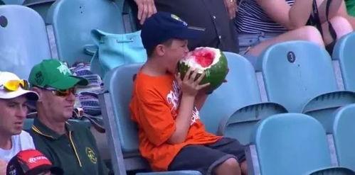 娱乐吃瓜君表演意外翻车,笑料百出却意外失控